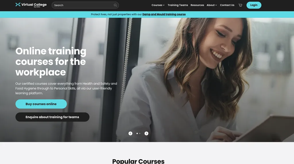 Virtual College Website